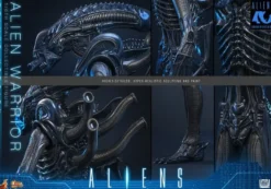 Alien Movie Masterpiece Actionfigur 1/6 Alien Warrior (Deluxe Version) 39 cm
