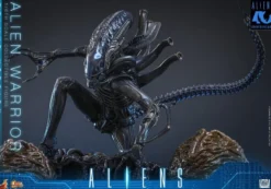 Alien Movie Masterpiece Actionfigur 1/6 Alien Warrior (Deluxe Version) 39 cm