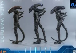 Alien Movie Masterpiece Actionfigur 1/6 Alien Warrior 39 cm