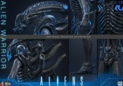 Alien Movie Masterpiece Actionfigur 1/6 Alien Warrior 39 cm
