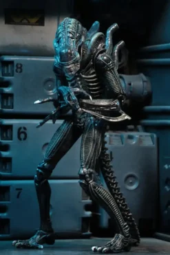 Aliens Alien Warrior Blue 1986 Ultimate Actionfigur