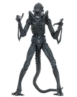 Aliens Alien Warrior Blue 1986 Ultimate Actionfigur