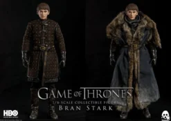 Game of Thrones Actionfigur 1/6 Bran Stark