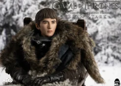 Game of Thrones Actionfigur 1/6 Bran Stark