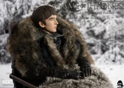 Game of Thrones Actionfigur 1/6 Bran Stark
