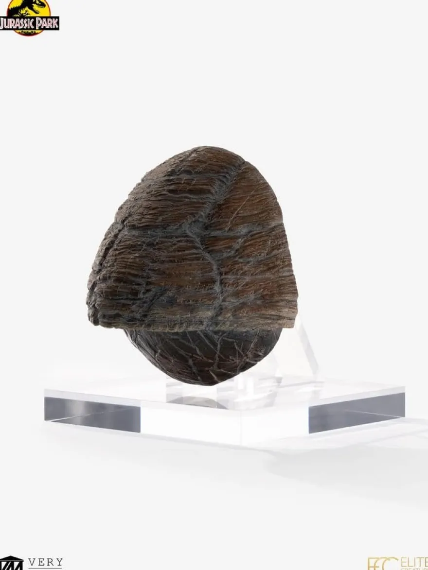 Jurassic Park 1/1 Replik Triceratops Toenail 16 cm