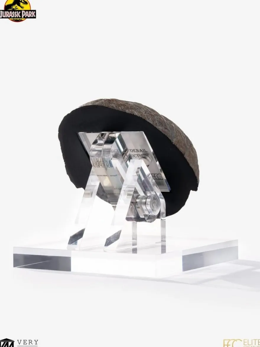 Jurassic Park 1/1 Replik Triceratops Toenail 16 cm
