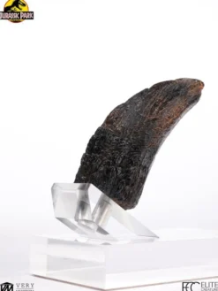 Jurassic Park 1/1 Replik Velociraptor Toenail Type A 11 cm