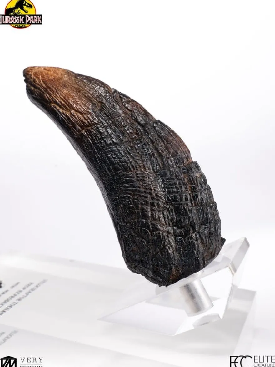 Jurassic Park 1/1 Replik Velociraptor Toenail Type A 11 cm