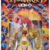 Masters of the Universe x ThunderCats Actionfigur Lion-O 14 cm