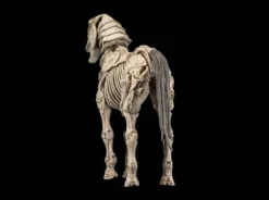 Mythic Legions: Reinforcement 3 Actionfigur Skeleton Steed Legion Builder