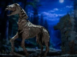 Mythic Legions: Reinforcement 3 Actionfigur Skeleton Steed Legion Builder