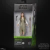 Star Wars Black Series Actionfigur 15 cm Princess Leia (Ewok Village)