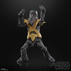 Star Wars Black Series Actionfigur 15 cm Black Krrsantian