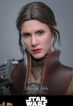 Star Wars Episode VI Movie Masterpiece Actionfigur 1/6 Leia Organa (Boushh Disguise) 27 cm