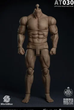 Worldbox 1/6 männlicher Figurenkörper stark & beständig